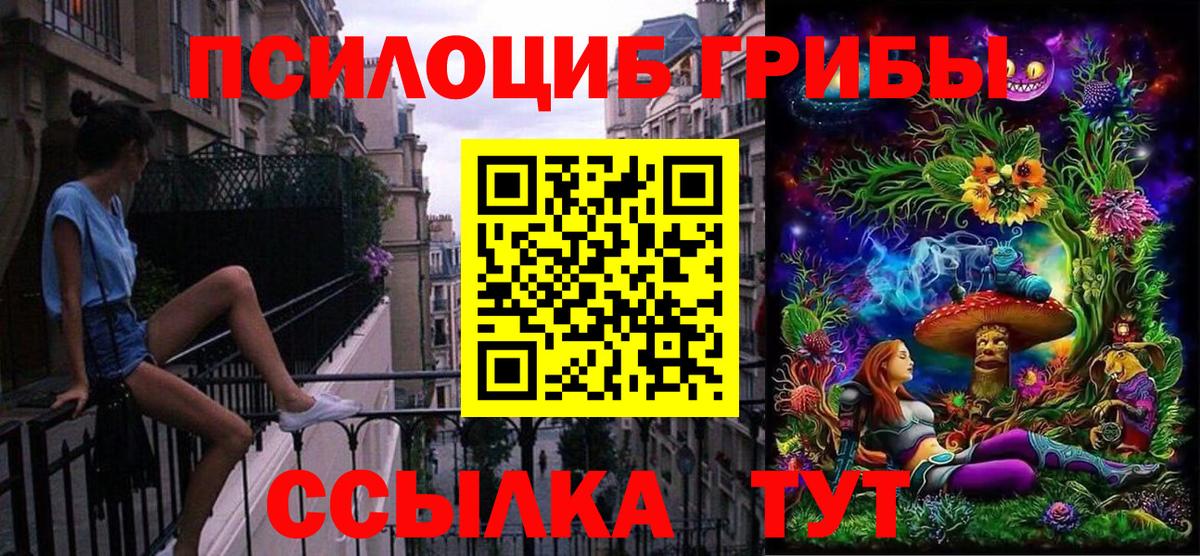 Псилоцибиновые грибы Cubensis Северск